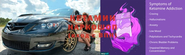 крисы Алзамай