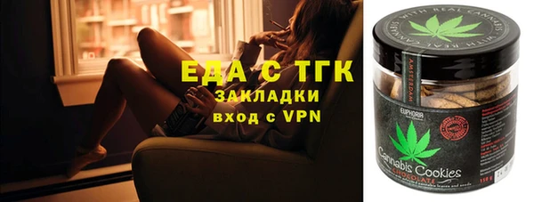 стаф Алексин
