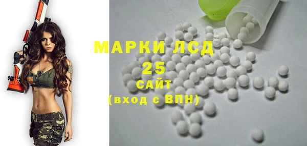 стаф Алексин