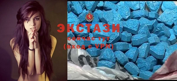 стаф Алексин