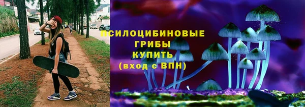 дживик Алексеевка