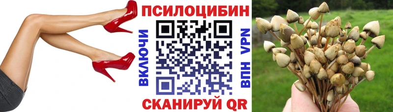 Галлюциногенные грибы GOLDEN TEACHER  Слободской 